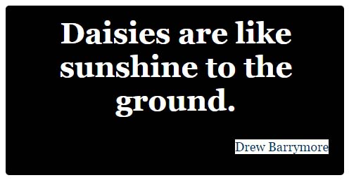 Daisies are like sunshine to the ground.   Drew Barrymore