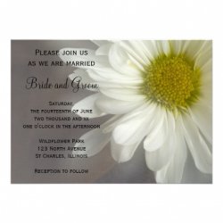 daisy wedding invitation